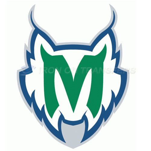 Minnesota Lynx Iron-on Stickers (Heat Transfers)NO.8566
